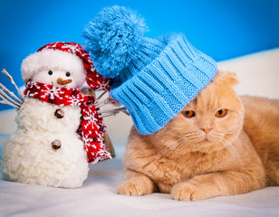 Cat wearing hat lying near snowman at Christmas background