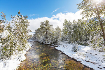 Winter creek
