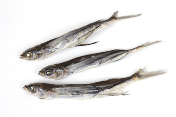 トビウオの煮干し