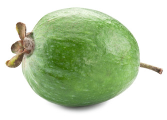 Feijoa fruit isolated on a white background.
