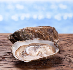Raw oyster on wood. Sea at the background.