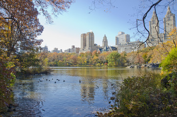 Central Park