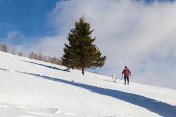 Fototapeta na wymiar man walks the dog on snowy winter day in mountain