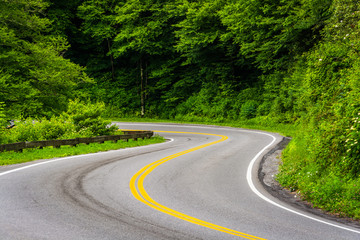 Fototapeta premium Newfound Gap Road at Great Smoky Mountains National Park, Tennes
