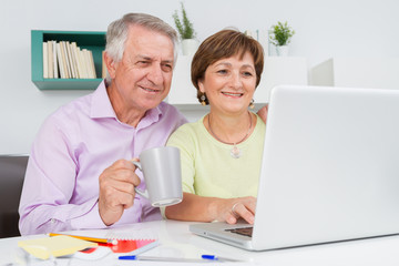 Seniors couple using a laptop computer