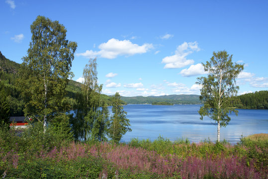 Swedish Lake