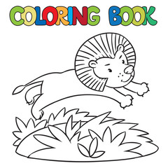 Coloring book of little lion