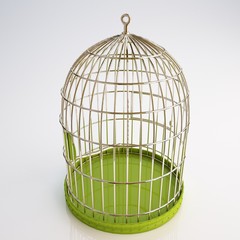 Bird cage 3d illustration