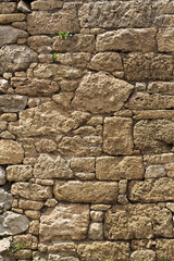 Texture