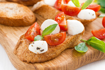 bruschetta with mozzarella, basil and cherry tomatoes, close-up