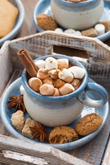 cocoa with marshmallows, cinnamon and spices on a wooden tray