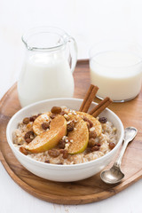 healthy breakfast - oatmeal with apples, raisins, cinnamon
