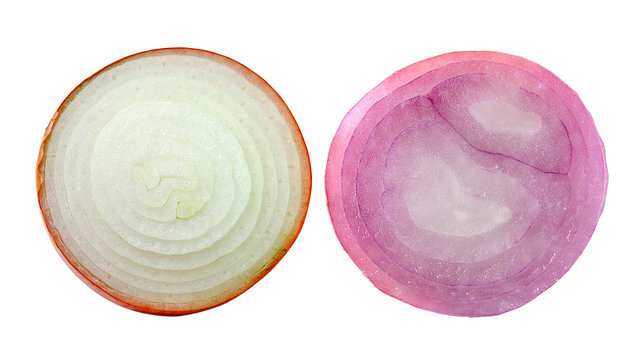 sliced onion on white background