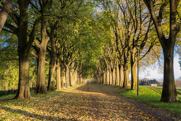The Walls of Ferrara during autumn with fallen leaves on the gro