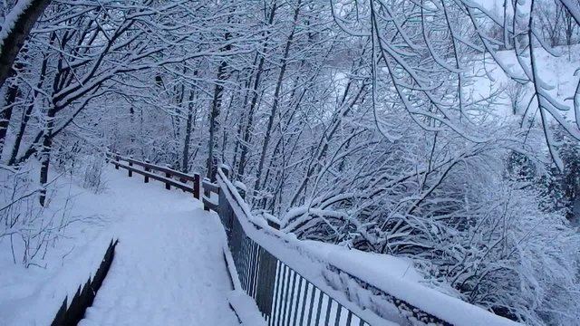 Hiver
