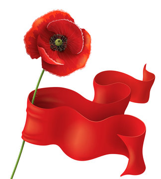 Poppy and red ribbon