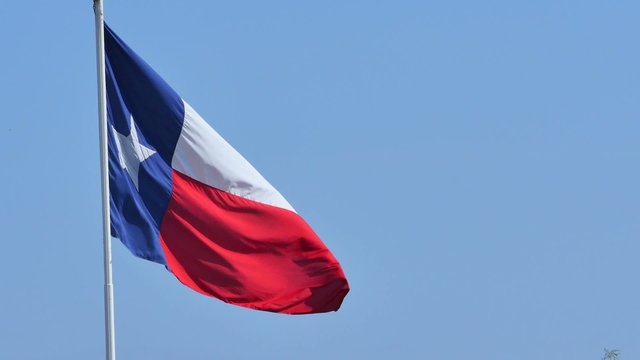 Flag of Texas
