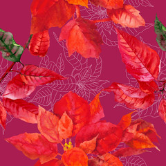 Seamless pattern  with poinsettia plant