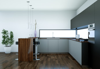 modern Kitchen Interior Design