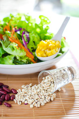 salad and salad cream on white background