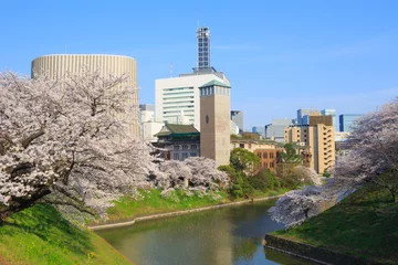 Foto op Plexiglas Cherry blossoms at the Kitanomaru Park in Tokyo © Scirocco340