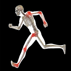 3D human man anatomy with articular pain