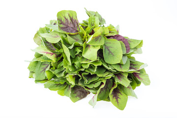 spinach on white background
