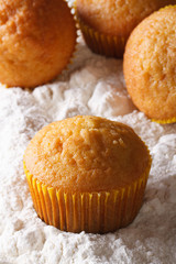 Orange muffins close-up on a background of powdered sugar