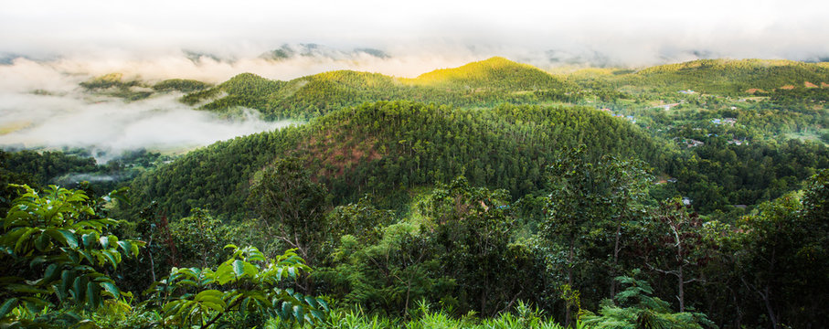 Landscape Of Green Mountain And Fog In The Morning