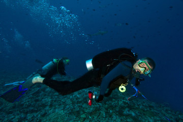 Scuba divers using a reef hook to watch sharks
