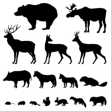 Animals of european forest. icon set of silhouette.