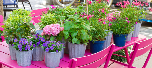 Blumentöpfe auf dem Gartentisch im Frühjahr