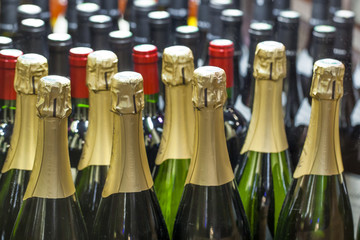 group of bubbly wine bottles at the winery