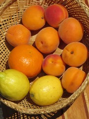 fruits