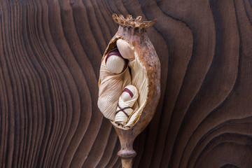 Holy family