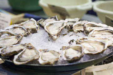 platter of freshly opened oysters