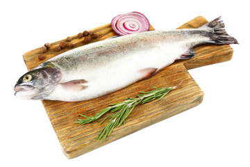 Fresh raw fish