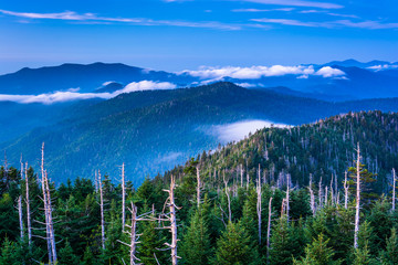 View of fog in the Smokies from Clingman's Dome Observation Towe