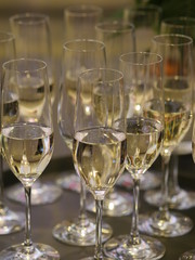 champagne glasses many
