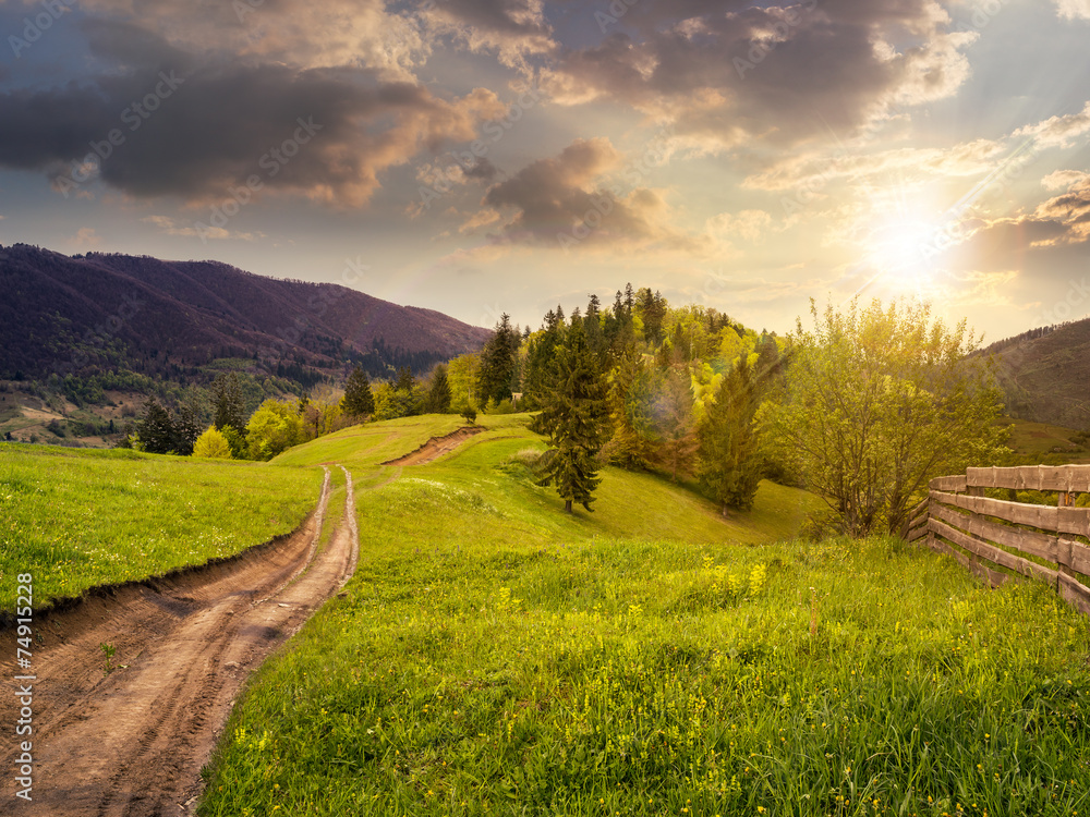 Wall mural fence on hillside meadow in mountain at sunset