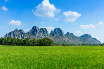 Rice field among mountain on central of Thailand