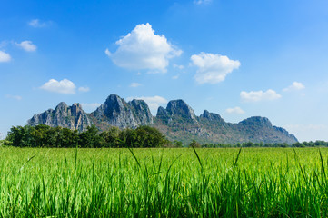 Rice field among mountain on central of Thailand © waii