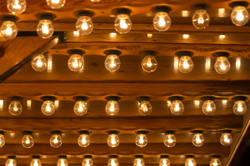 Light bulbs shining bright. Plenty lightbulbs in rows burn