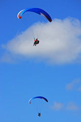 paragliders