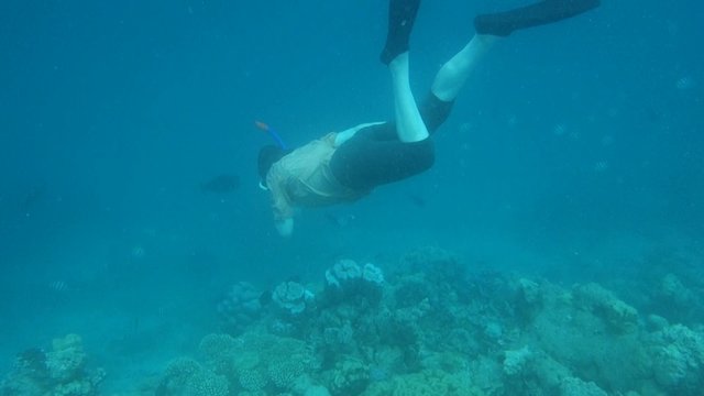 Schnorcheln am Korallenriff