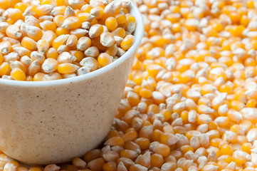 Bulk of corn grains