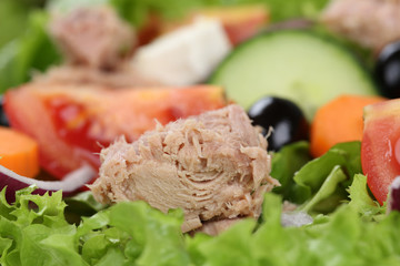 Nahaufnahme Salat mit Thunfisch, Tomaten und Oliven