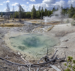 Yellowstone Park - Wasserloch