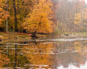 Fototapeta premium Autumn Lake