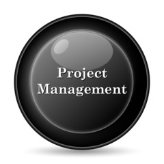 Project management icon